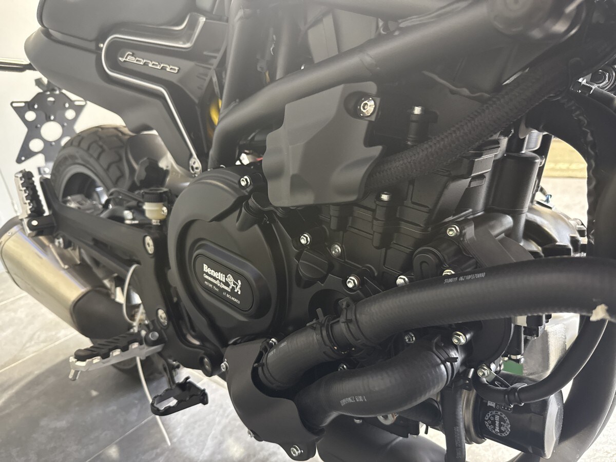 Used Benelli LEONCINO 800 for sale - 78394052: Photo 12