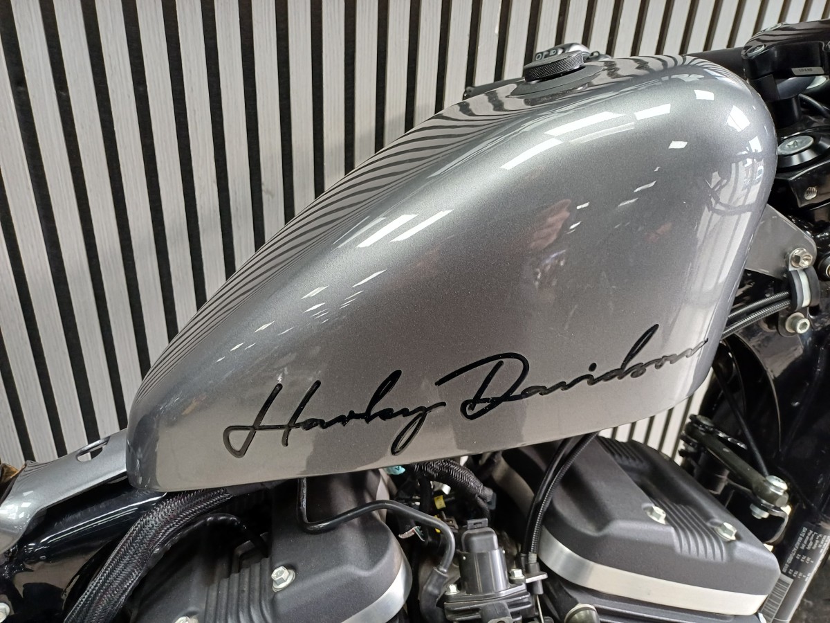 Used Harley-Davidson XL 1200cc conv 883 N IRON 2021 for sale - 78395560: Photo 9