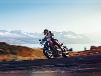 Used Benelli Leoncino 500 undefined for sale - bike-78393136: Photo