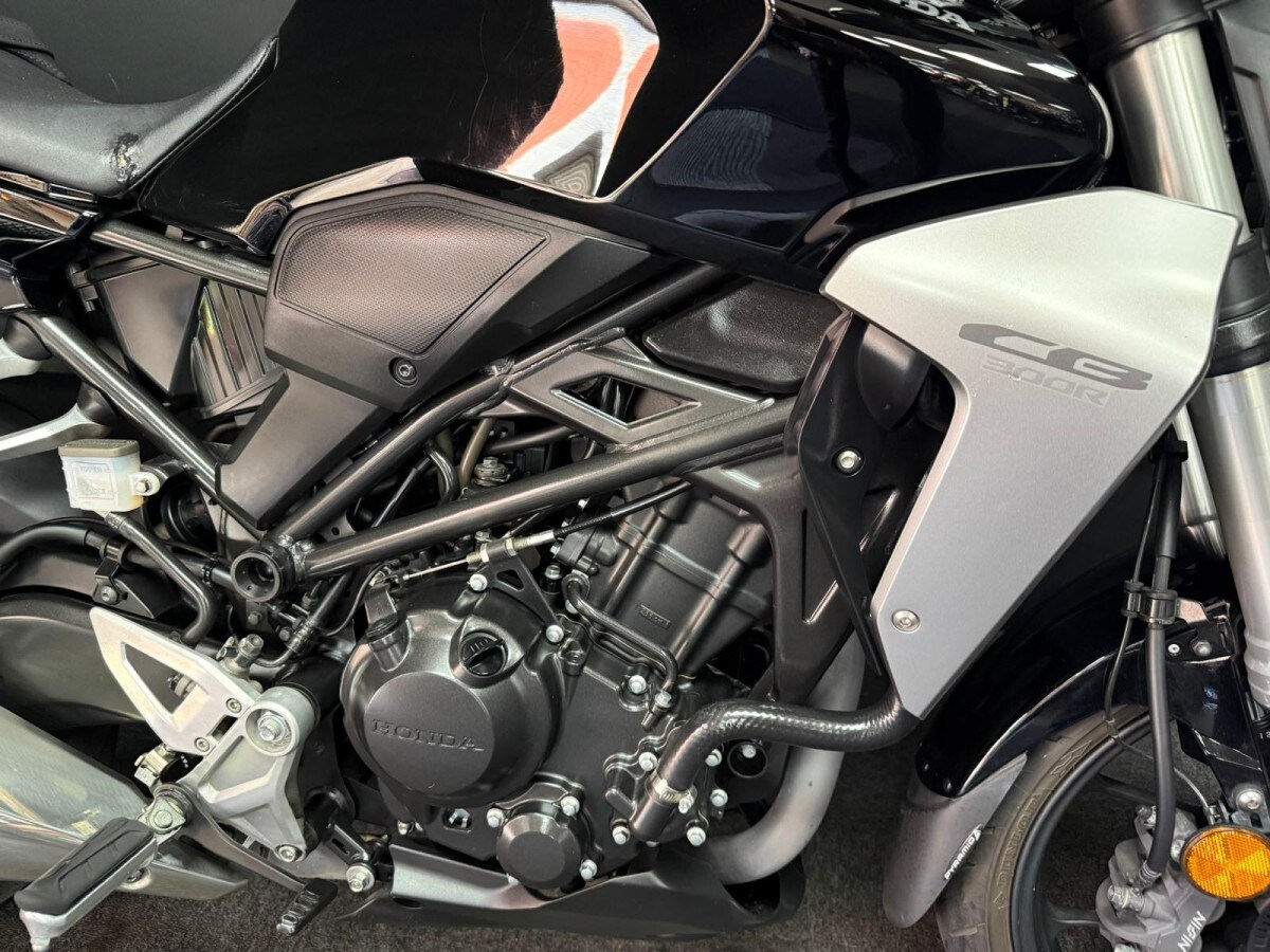 Used Honda CBF 300 N-A 2020 for sale - 78453547: Photo 15