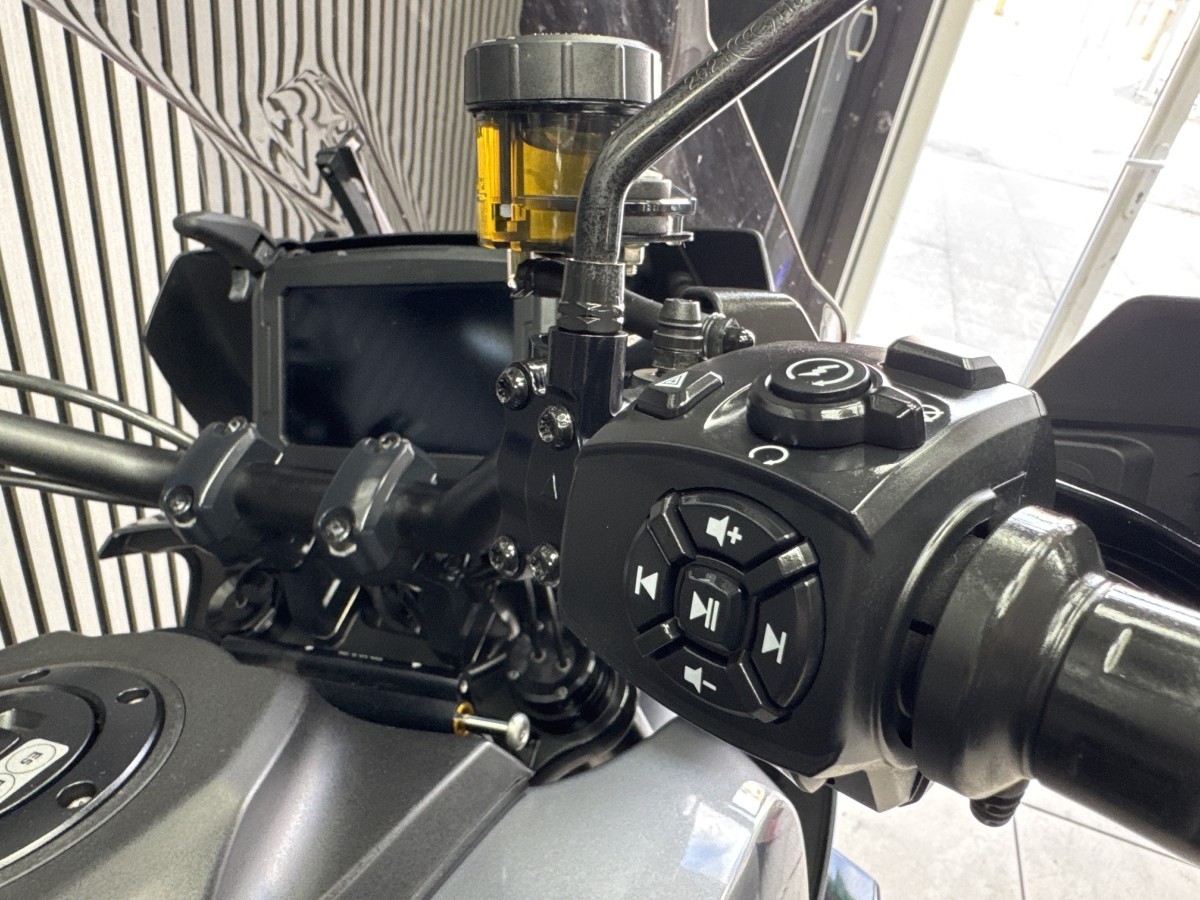 Used Harley-Davidson PAN AMERICA 1250 SPECIAL 2021 for sale - 78395520: Photo 19