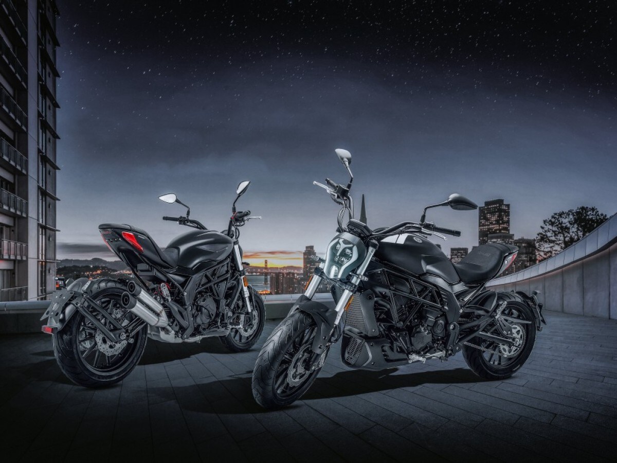 Used Benelli 502 C for sale - 78393374: Photo 19