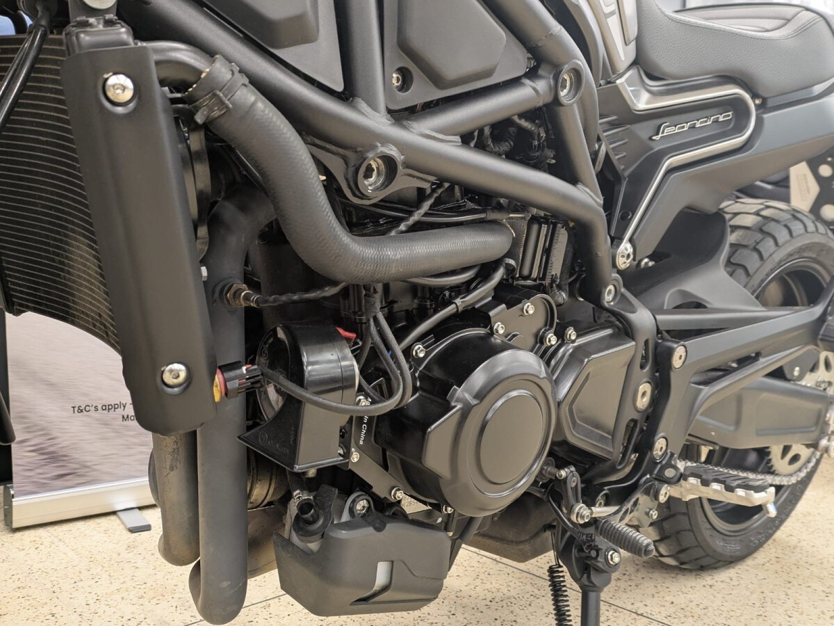 Used Benelli LEONCINO 800 E5 2024 for sale - 78393279: Photo 9