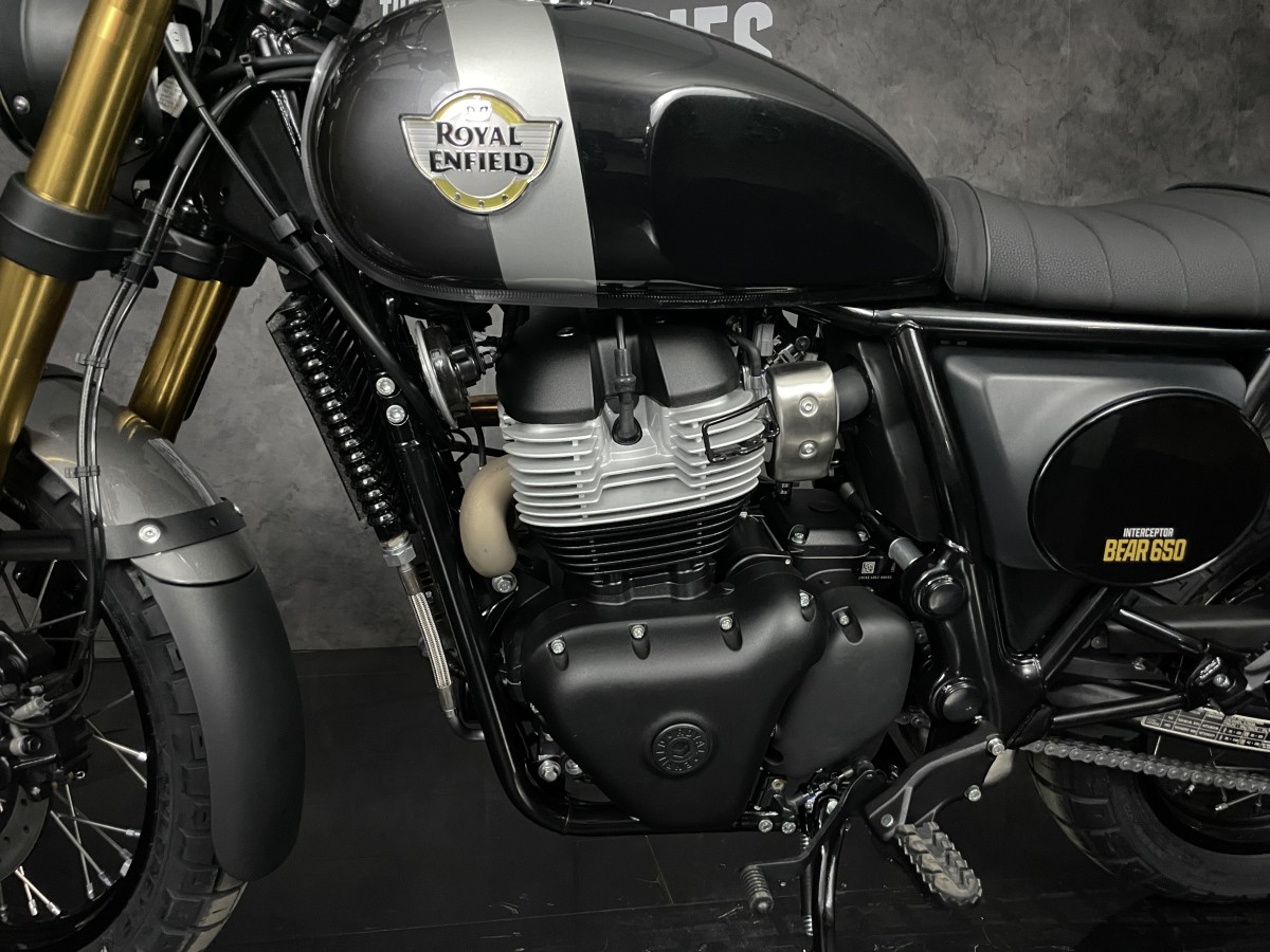 Used Royal Enfield Bear 650 for sale - 78396981: Photo 9