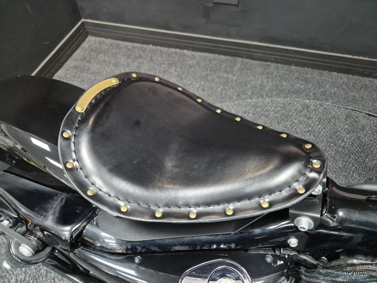 Used Harley-Davidson XL 1200 X SPORTSTER CUSTOM 2019 for sale - 78734314: Photo 9