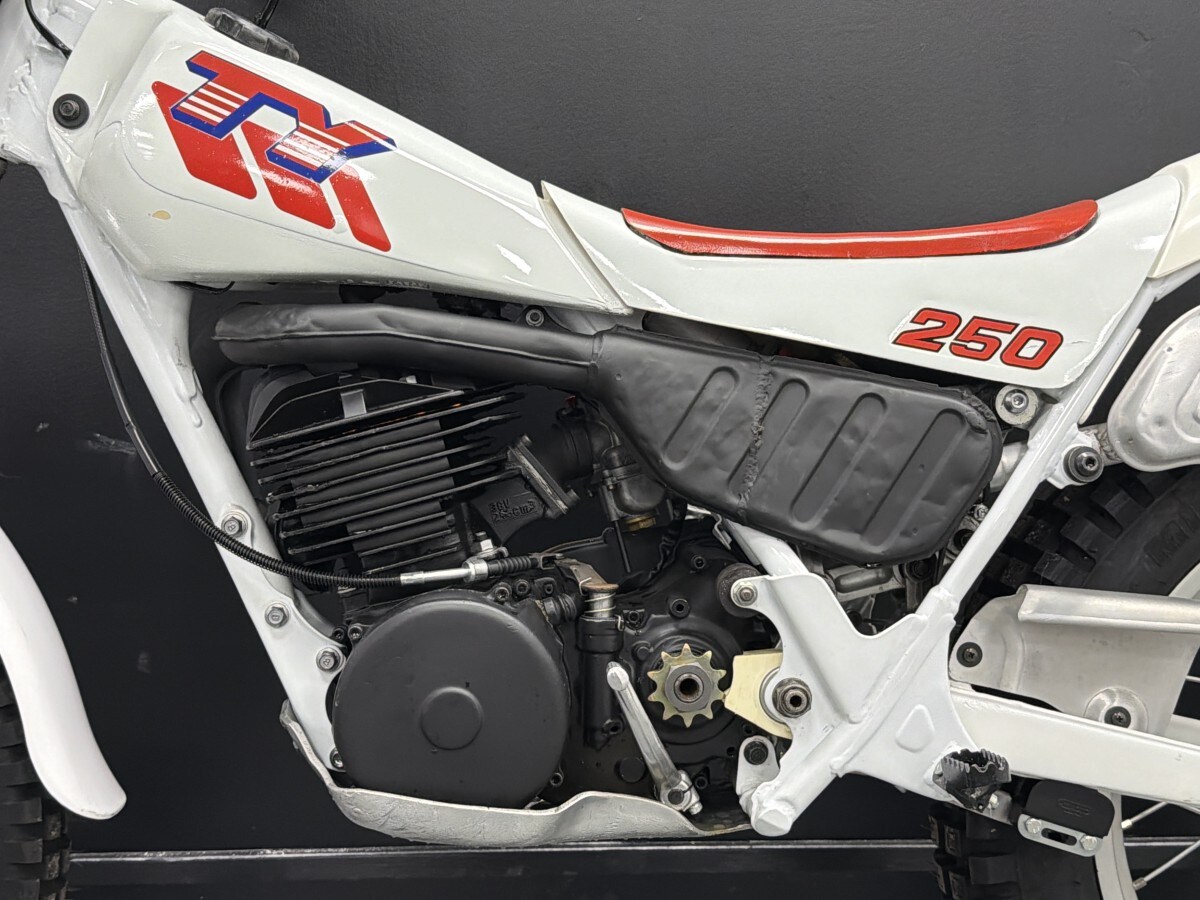 Used Yamaha TY 250 R for sale - 78393344: Photo 11