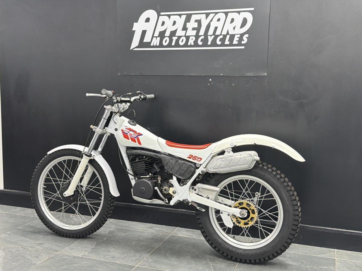 Used Yamaha TY 250 R for sale - 78393344: Photo 12