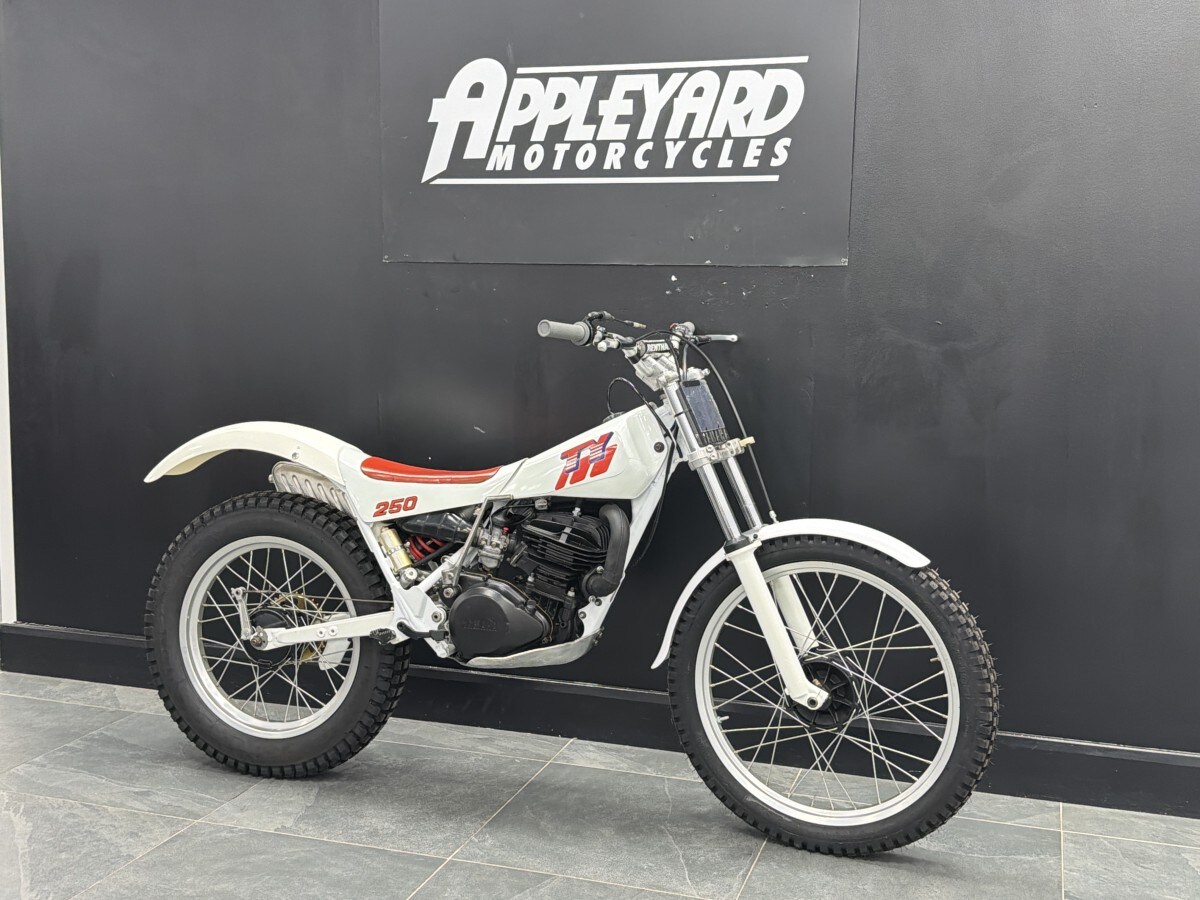 Used Yamaha TY 250 R for sale - 78393344: Photo 8