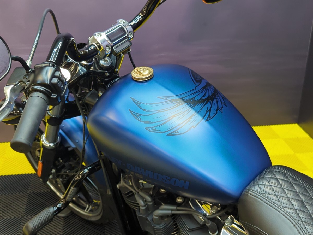 Used Harley-Davidson FXBRS BREAKOUT 114 ANNIVERSARY 2018 for sale - 78396062: Photo 17