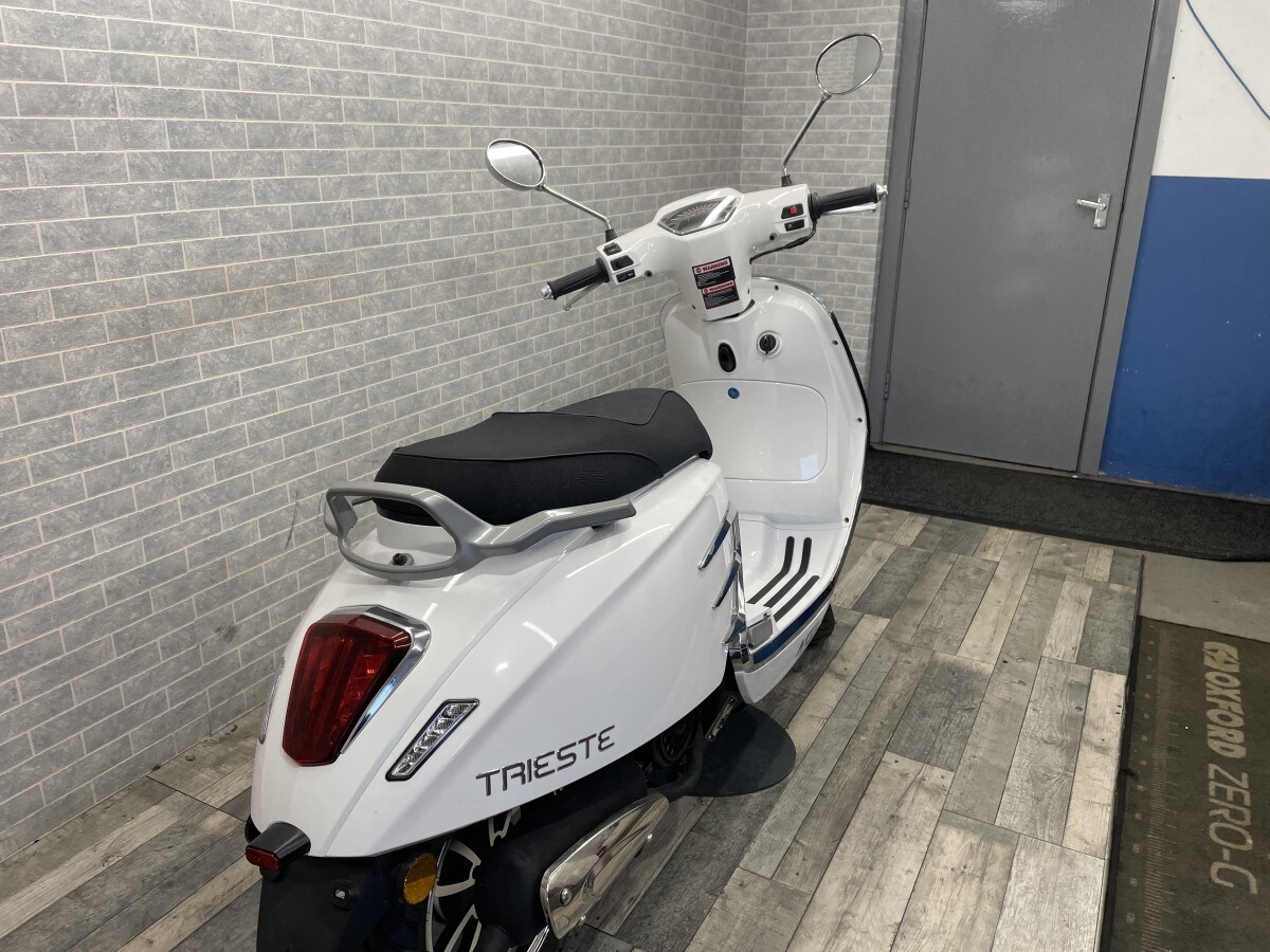 Used MG TRIESTE 125cc for sale - 78395388: Photo 8
