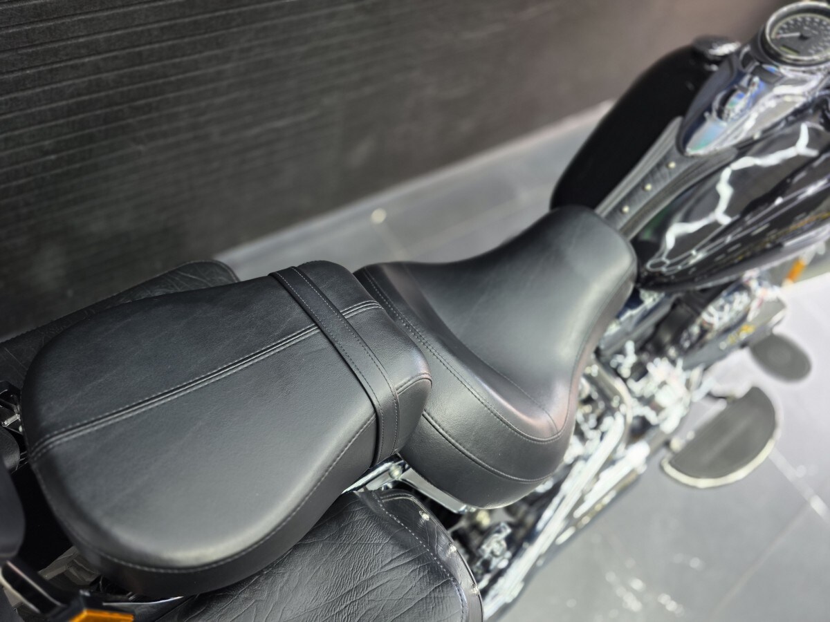 Used Harley-Davidson FLSTC Heritage Softail Classic 2017 for sale - 78694552: Photo 6
