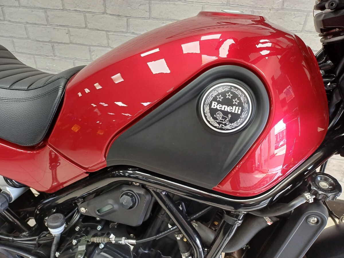 Used Benelli Leoncino 500 Trail for sale - 78395349: Photo 9