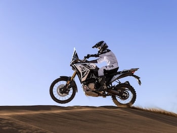 Used Voge DS800X Rally undefined for sale - bike-78397698: Photo