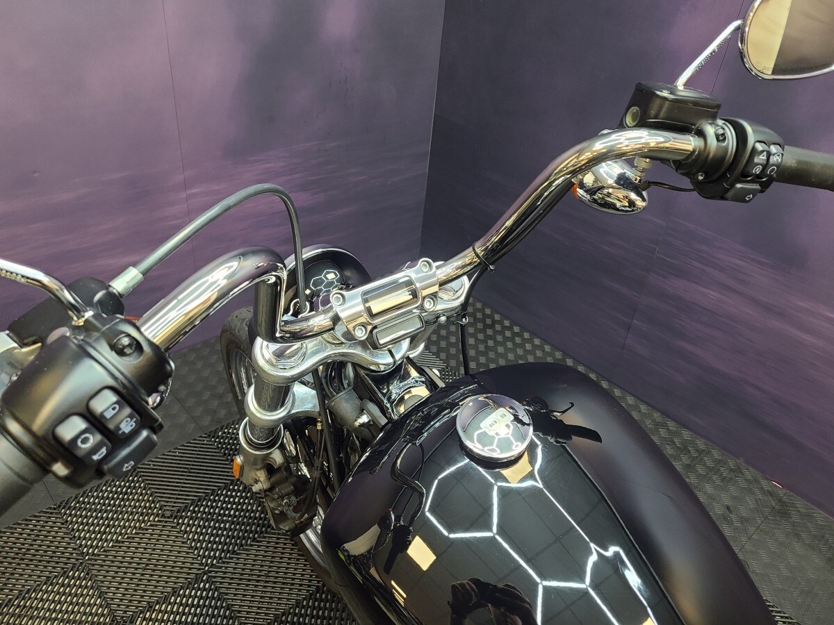 Used Harley-Davidson FXST SOFTAIL STANDARD 1745 2021 for sale - 78396130: Photo 8