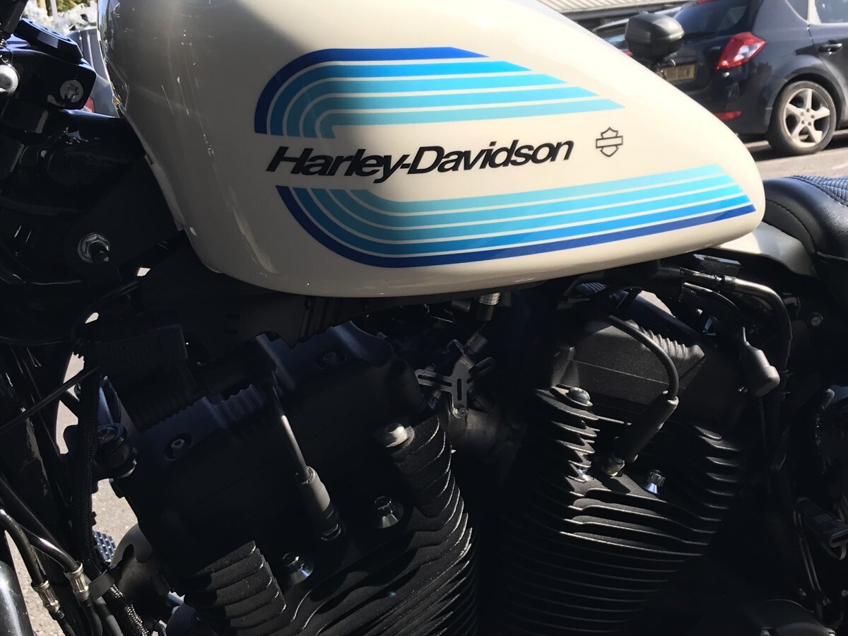 Used Harley-Davidson Sportster XL1200 Iron 2019 for sale - 78453541: Photo 11