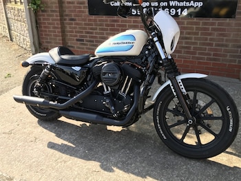 Used Harley-Davidson Sportster XL1200 Iron 2019 for sale - bike-78453541: Photo