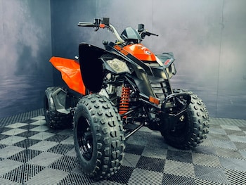 Used CAN-AM DS 250 undefined for sale - bike-79392379: Photo