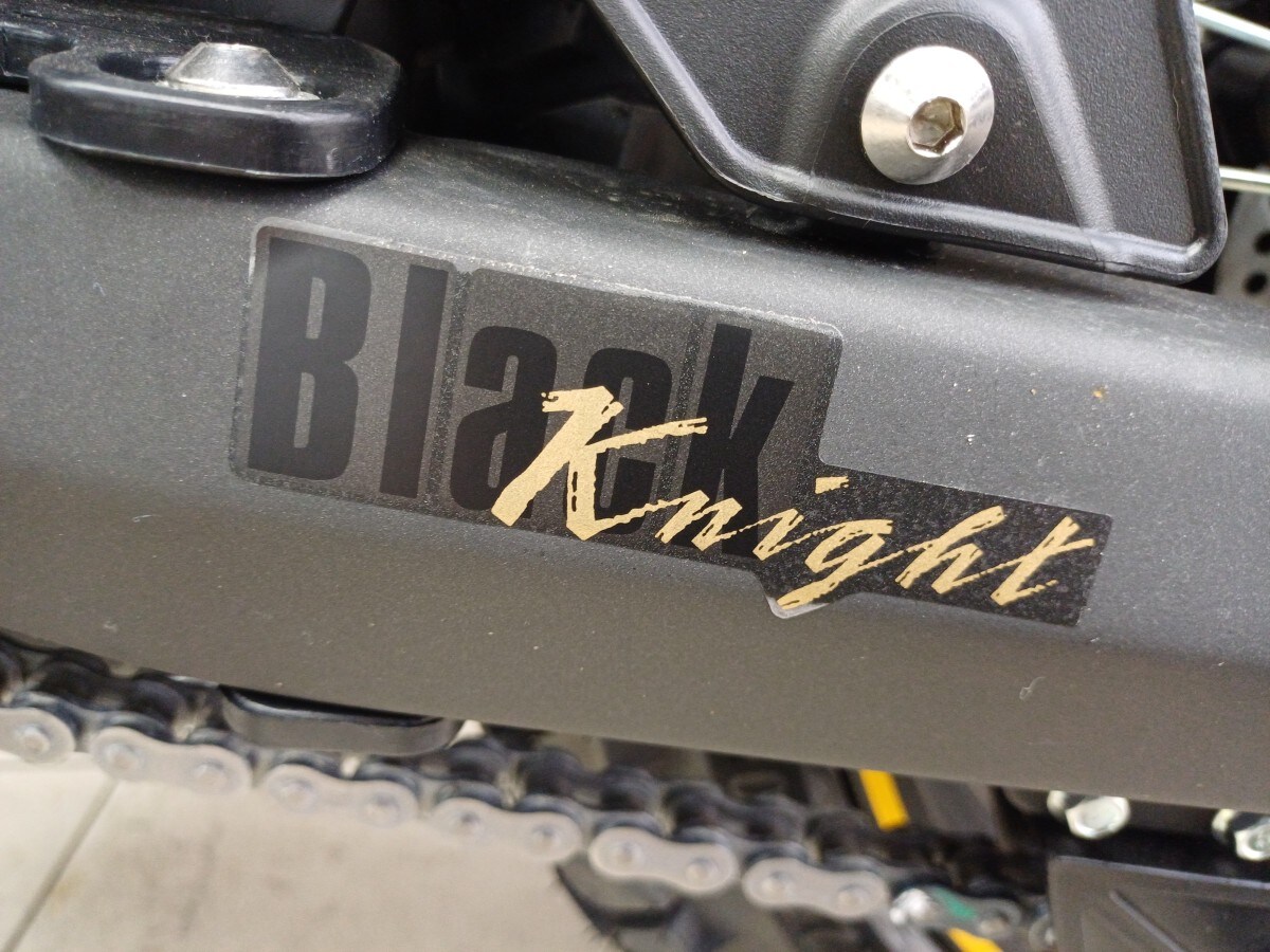 Used Voge RALLY 300 BLACK KNIGHT for sale - 78395097: Photo 12