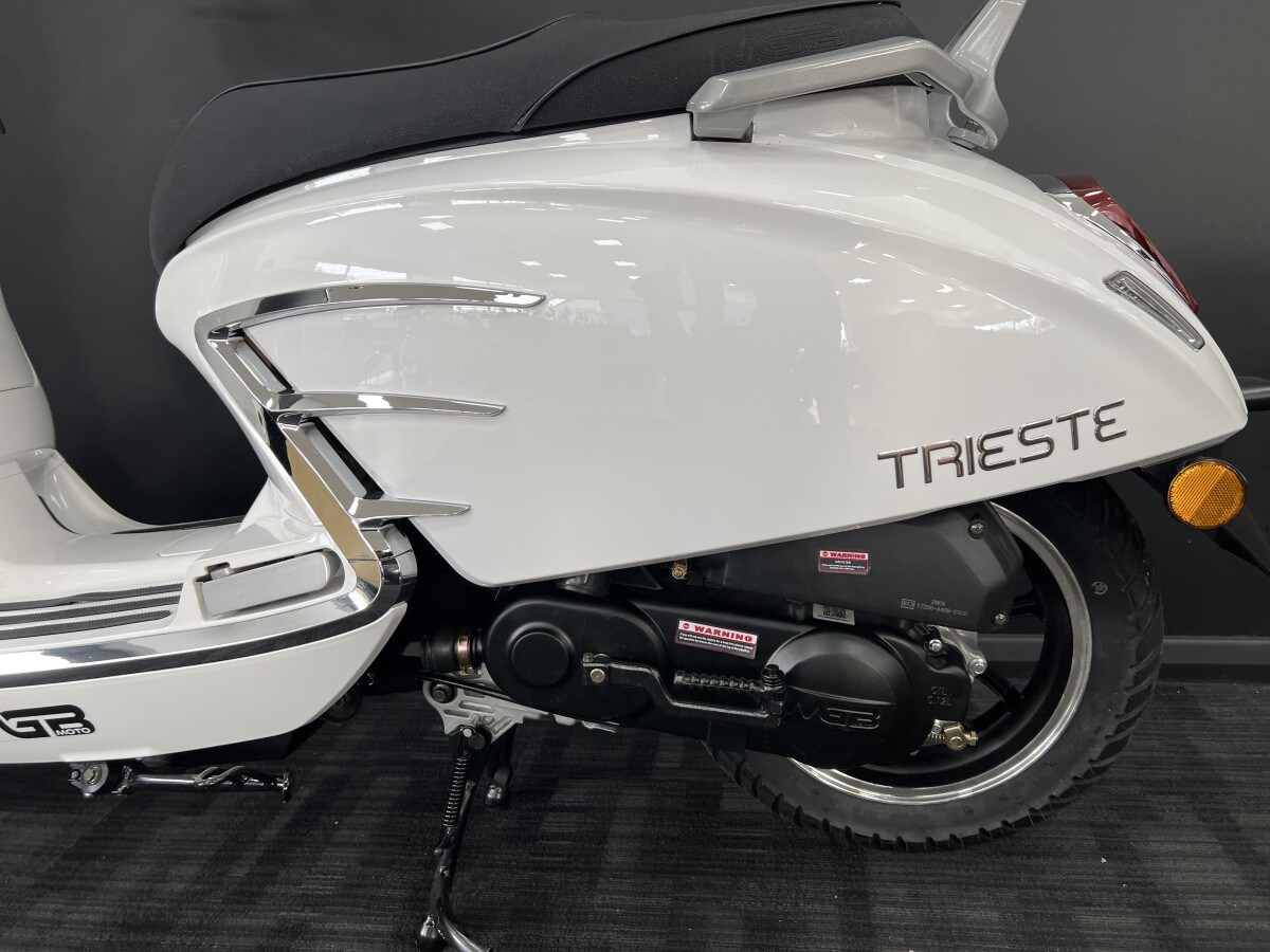 Used MG TRIESTE 50 for sale - 78394656: Photo 7