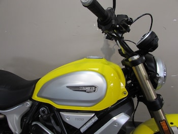 Used Ducati Scrambler 1100 2020 for sale - bike-78394228: Photo