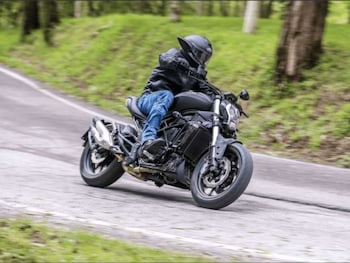 Used Benelli 502 Cruiser undefined for sale - bike-78393421: Photo