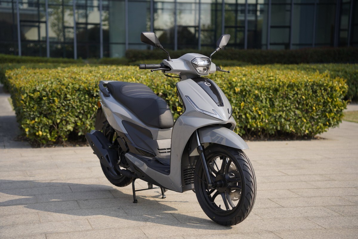 Used MG Coral 125 for sale - 78397113: Photo 19