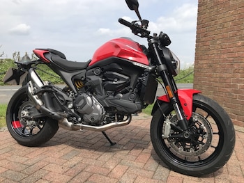 Used Ducati MONSTER 937 2025 for sale - bike-78554356: Photo