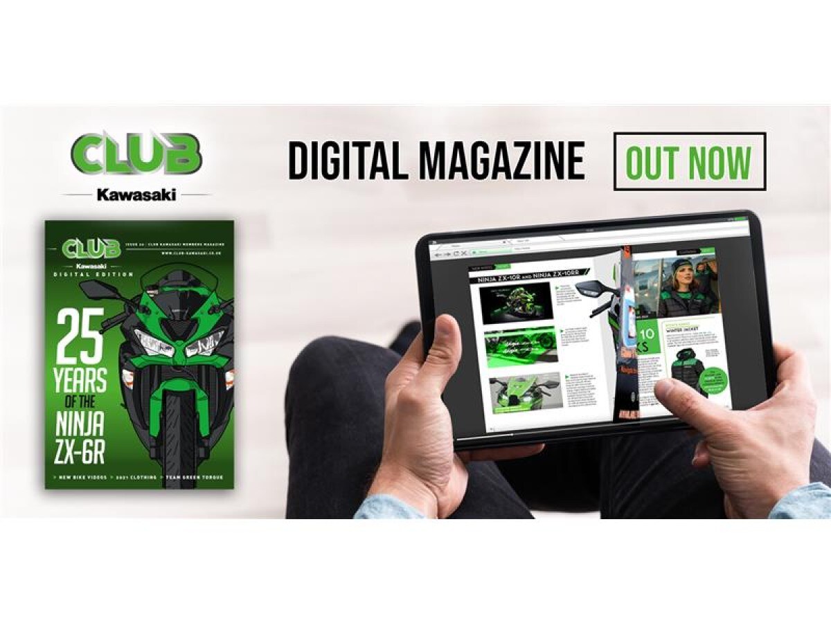 Used Kawasaki Ninja 125 for sale - 78394860: Photo 9