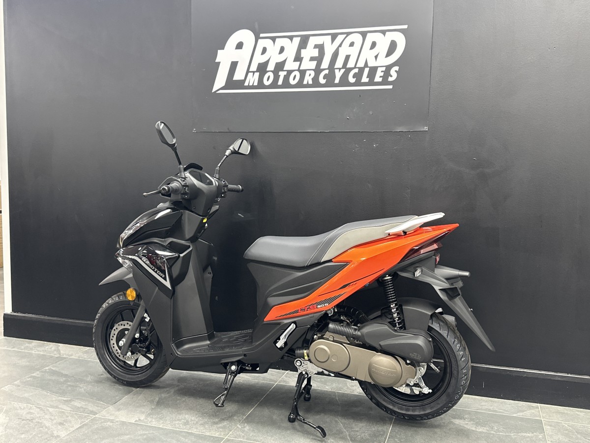 Used QJ MOTOR LTS 50 for sale - 78394839: Photo 12
