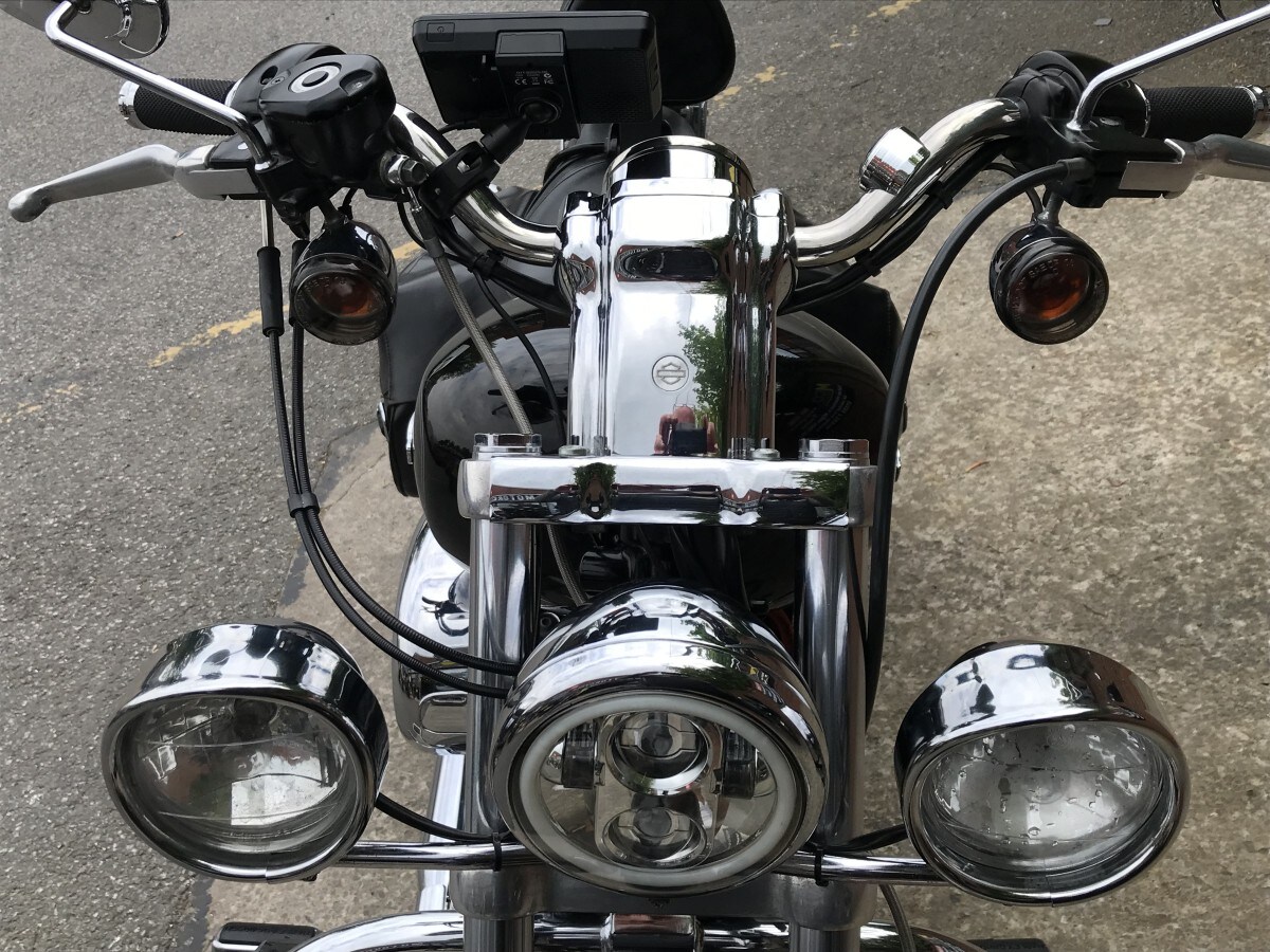 Used Harley-Davidson XL 1200 C CUSTOM SPORT 2008 for sale - 78460016: Photo 12