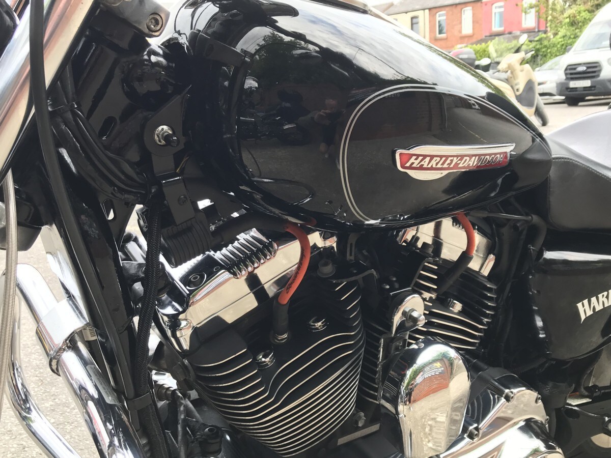 Used Harley-Davidson XL 1200 C CUSTOM SPORT 2008 for sale - 78460016: Photo 14