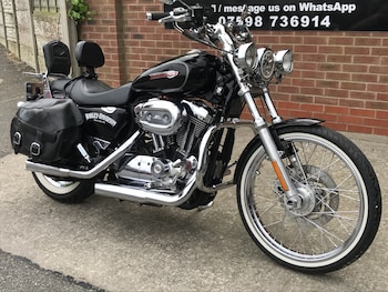 Used Harley-Davidson XL 1200 C CUSTOM SPORT 2008 for sale - bike-78460016: Photo