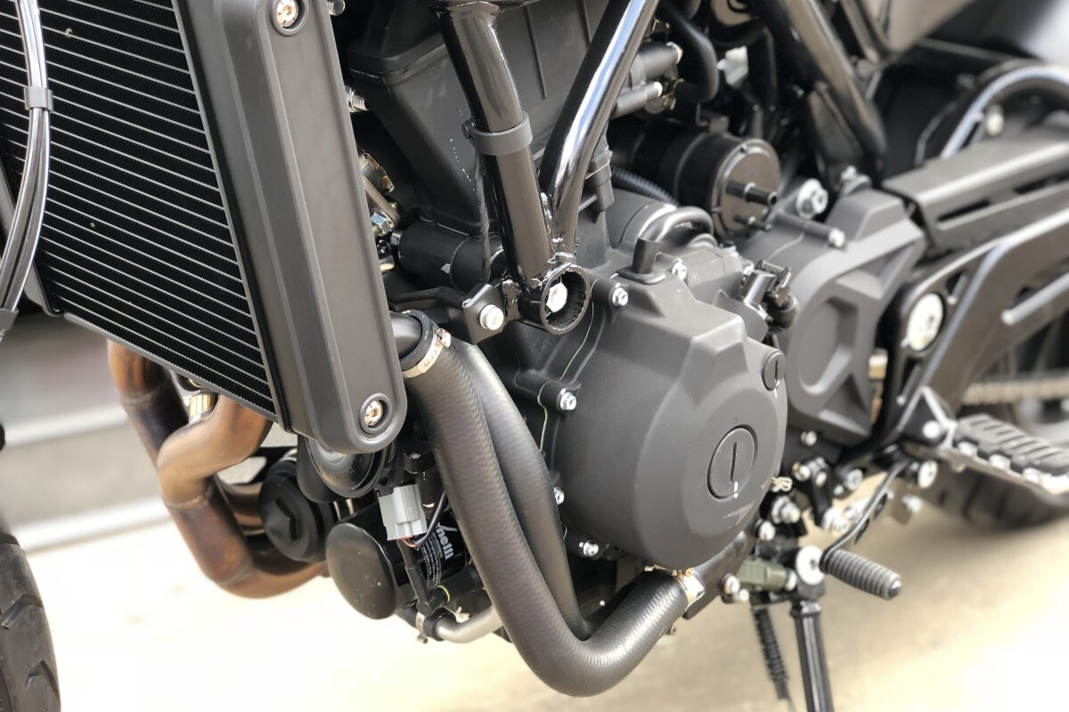 Used Benelli Leoncino 500 for sale - 78395963: Photo 5