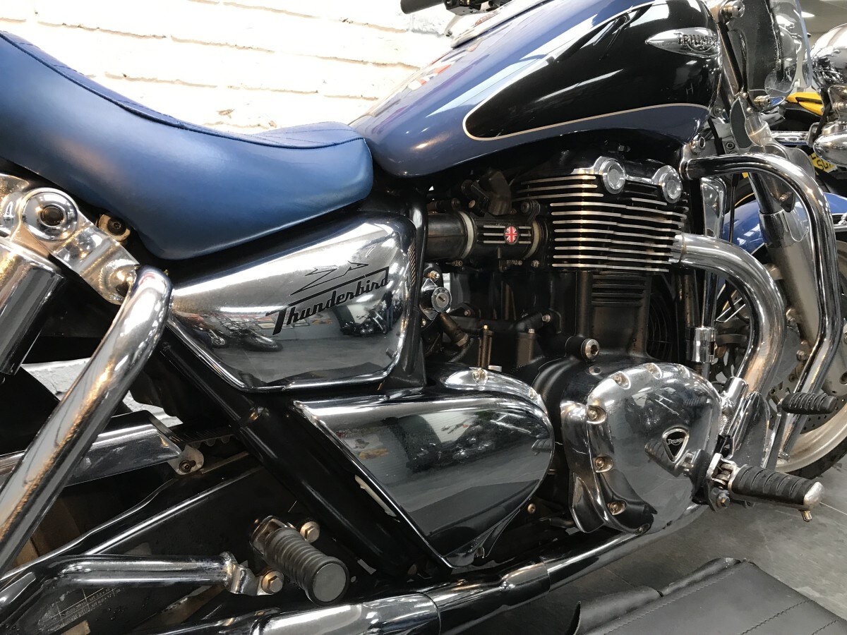 Used Triumph THUNDERBIRD 1600 2009 for sale - 78393816: Photo 15