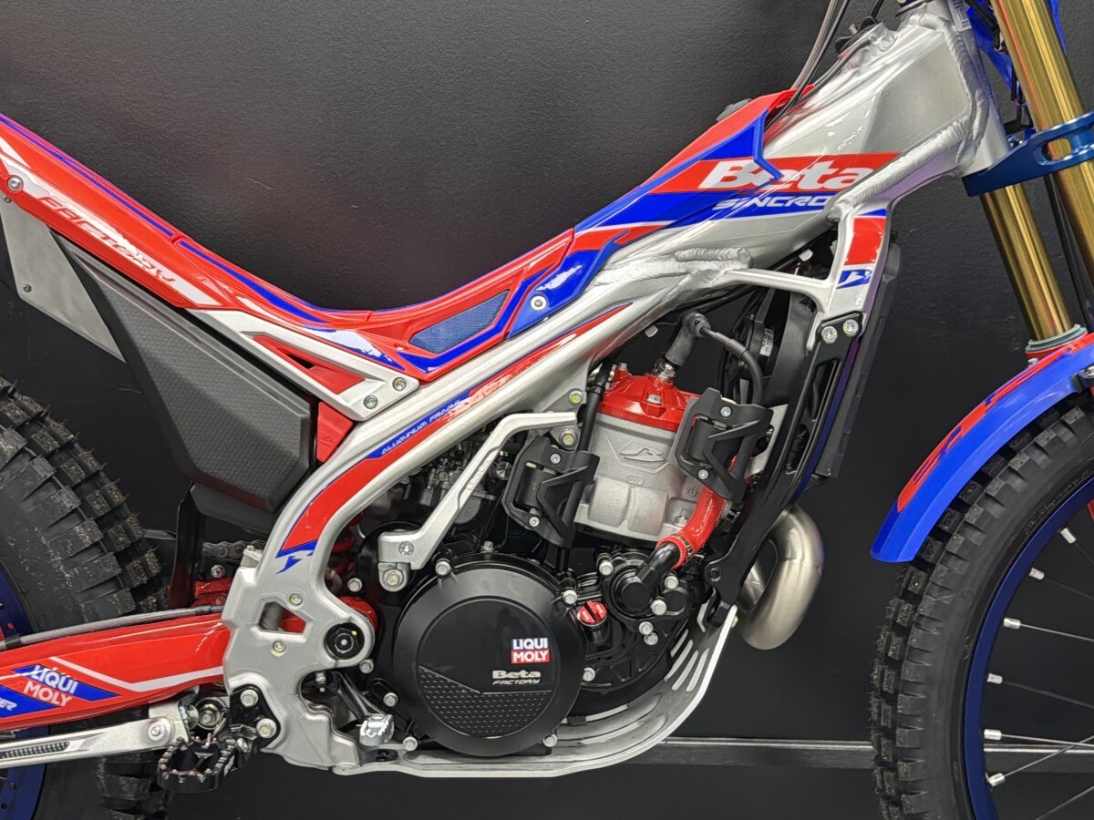 Used Beta SINCRO 300 FACTORY for sale - 78395565: Photo 10