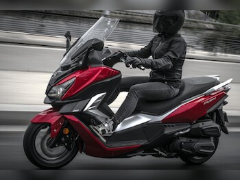 Used SYM Cruisym 300cc undefined for sale - bike-78395435: Photo