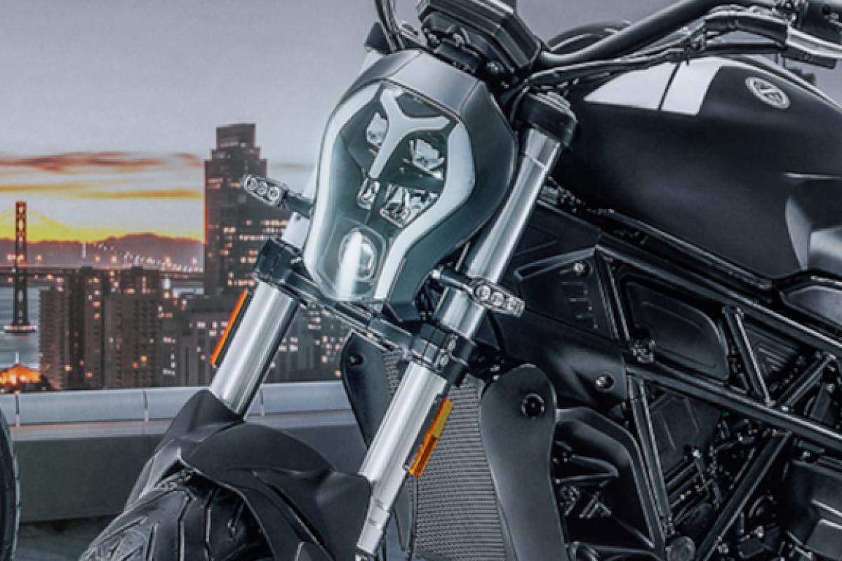 Used Benelli 502 C for sale - 78393552: Photo 2