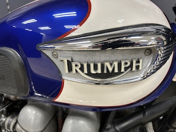 Used Triumph Bonneville T100 2003 for sale - bike-78393817: Photo