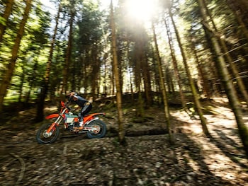 Used KTM 300 EXC 6DAYS undefined for sale - bike-79424285: Photo