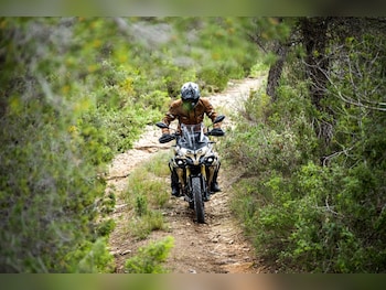 Used Voge DS625X undefined for sale - bike-78397064: Photo