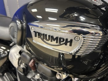 Used Triumph BONNEVILLE T100 STEALTH EDITION 2024 for sale - bike-78393805: Photo