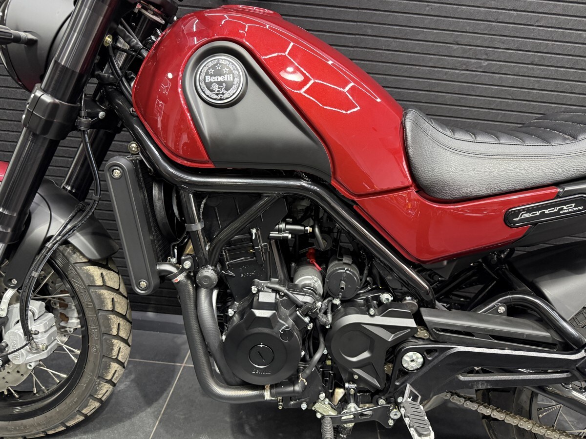 Used Benelli Leoncino 500 Trail 2022 for sale - 78393419: Photo 11