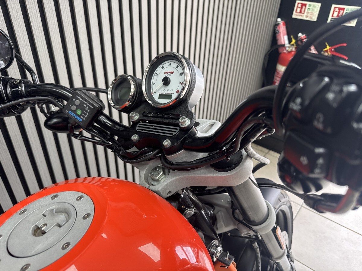 Used Harley-Davidson XR 1200 2008 for sale - 78921170: Photo 12