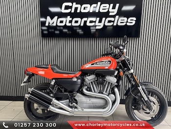 Used Harley-Davidson XR 1200 2008 for sale - bike-78921170: Photo