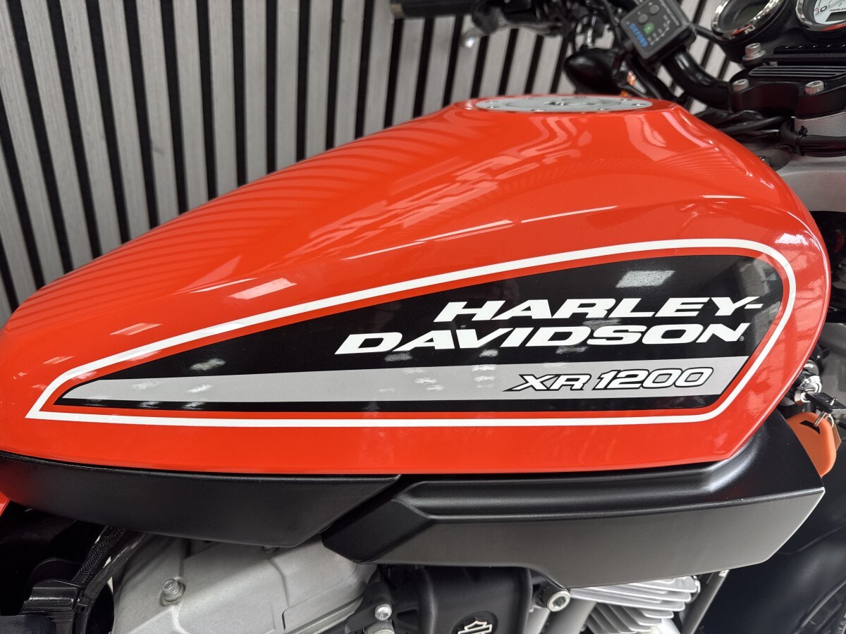 Used Harley-Davidson XR 1200 2008 for sale - 78921170: Photo 4