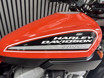 Used Harley-Davidson XR 1200 2008 for sale - bike-78921170: Photo