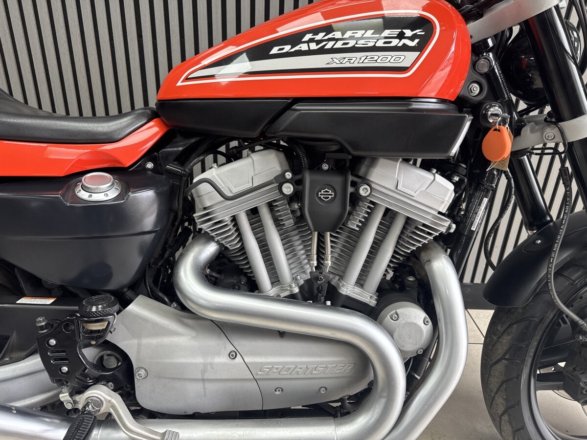 Used Harley-Davidson XR 1200 2008 for sale - 78921170: Photo 8