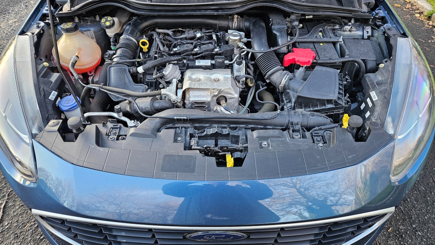 Used Ford Fiesta 2022 for sale - 76893065: Photo 19