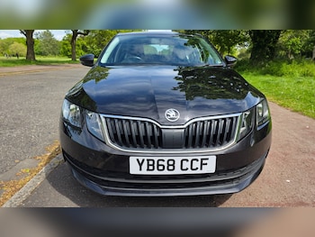 Used Skoda Octavia 2018 for sale - 79503595: Photo