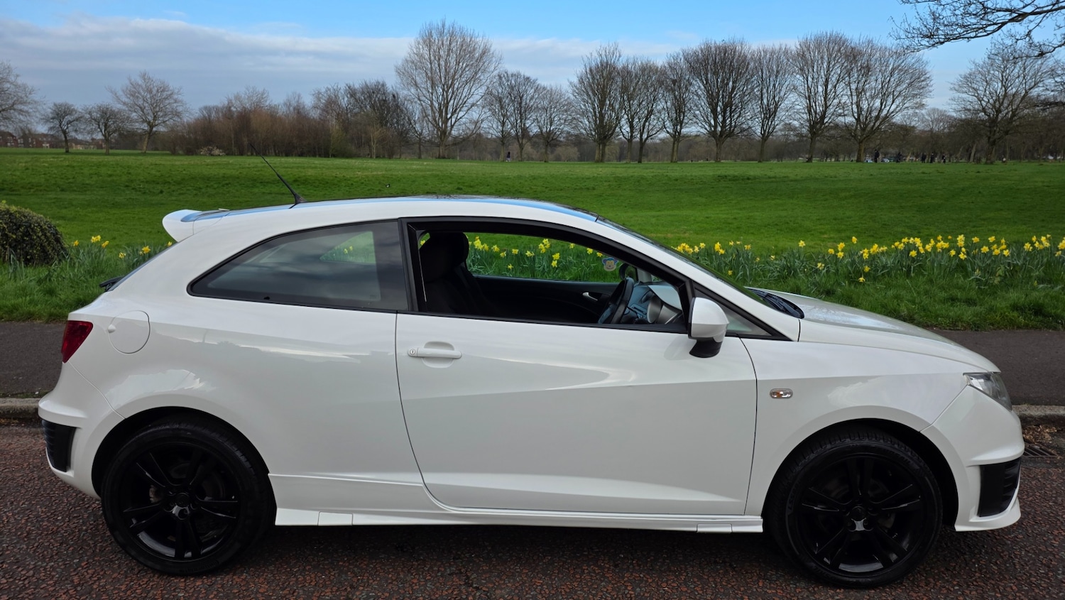 Used SEAT Ibiza 2009 for sale - 78054331: Photo 10